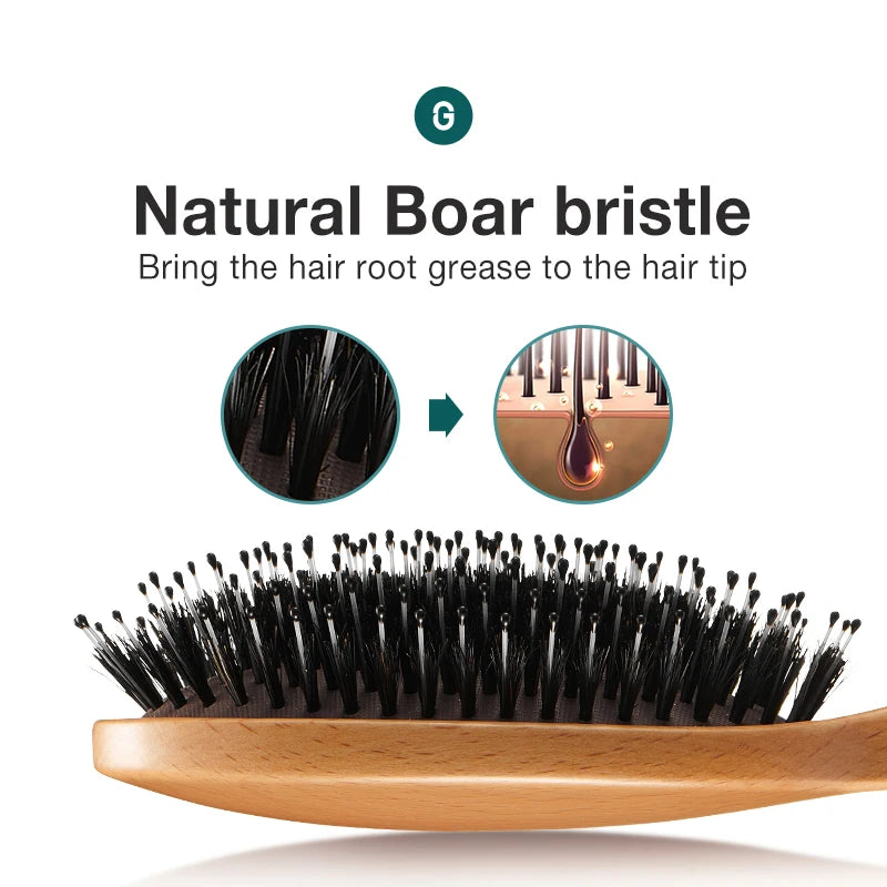 Boar Bristle Hair Brush Detangler