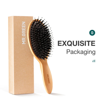 Boar Bristle Hair Brush Detangler