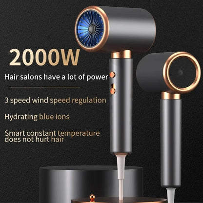 2000W Professional Salon Hair Dryer