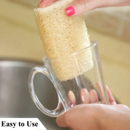 Natural Loofah Cleaning Sponge