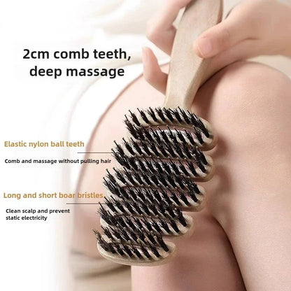 Hollow Detangling Scalp Massage Hair Brush for Curly Hair