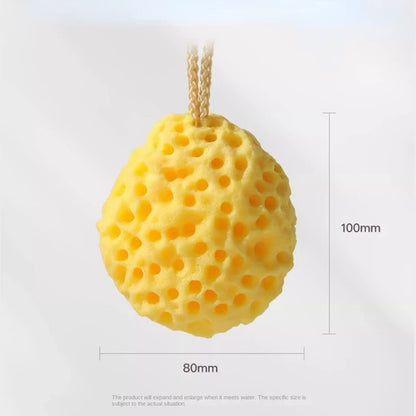 Soft Mesh Shower Sponge Ball