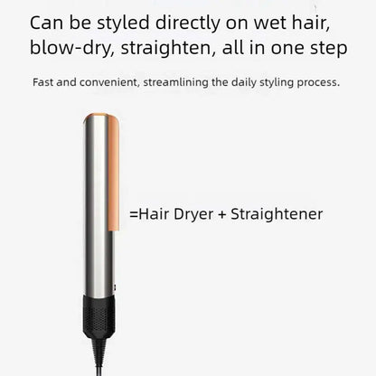 Professional 2-in-1 Hair Dryer Straightener