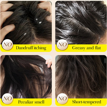 Olive Essence Solid Shampoo Bar