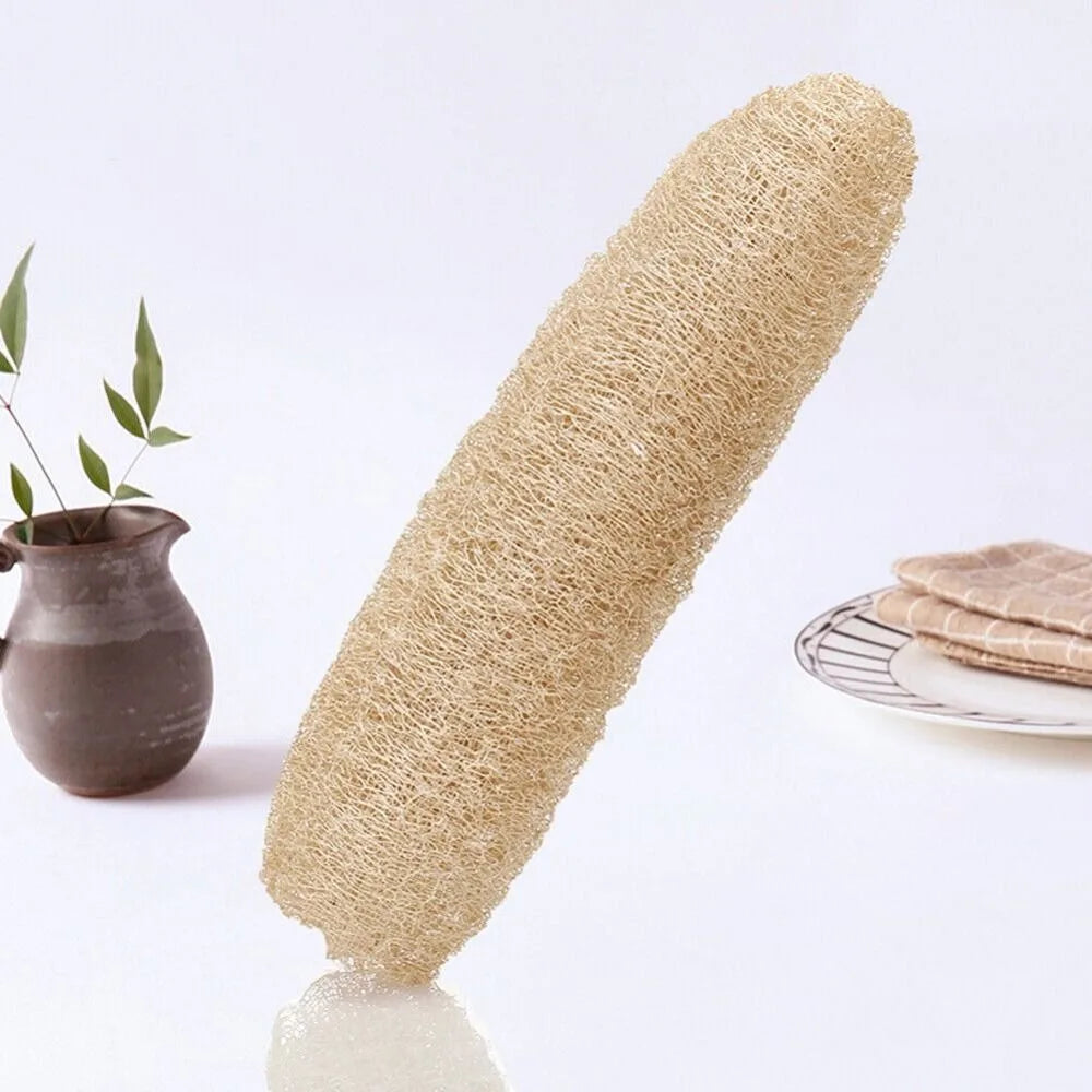 Natural Loofah Cleaning Sponge