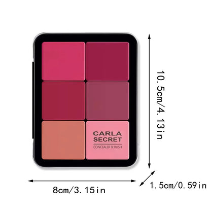 12-Color Concealer Blush Palette