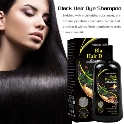 Organic Black Hair Dye Shampoo