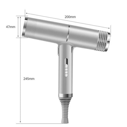 Professional Negative Ion Hair Dryer