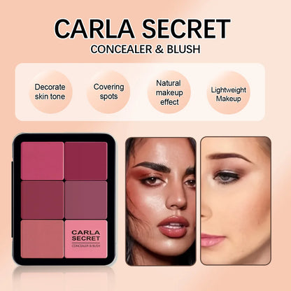 12-Color Concealer Blush Palette