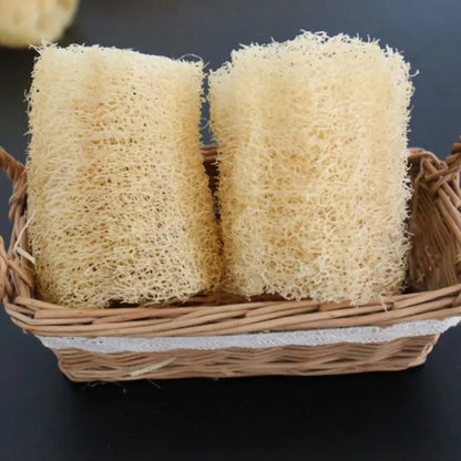 Natural Loofah Cleaning Sponge